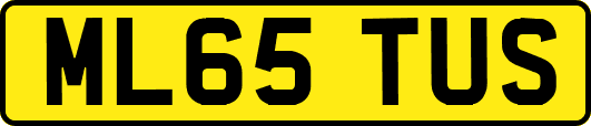 ML65TUS
