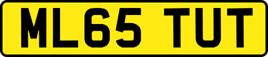 ML65TUT