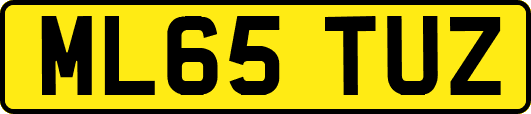 ML65TUZ