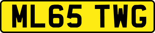 ML65TWG