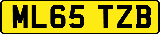 ML65TZB
