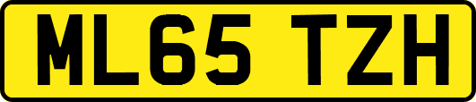 ML65TZH