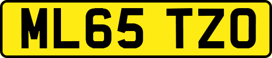 ML65TZO
