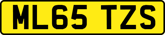 ML65TZS