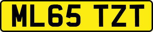 ML65TZT