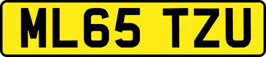 ML65TZU