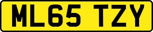 ML65TZY