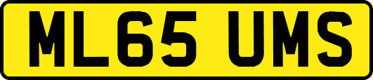 ML65UMS