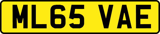 ML65VAE