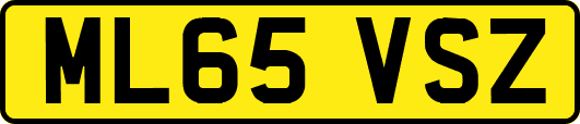 ML65VSZ