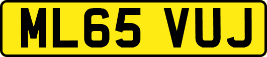 ML65VUJ