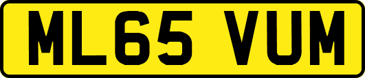 ML65VUM