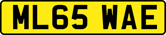 ML65WAE