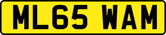 ML65WAM
