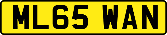 ML65WAN