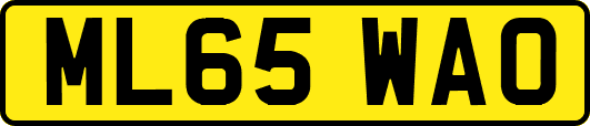 ML65WAO