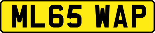ML65WAP