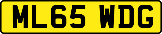 ML65WDG