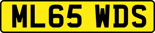 ML65WDS