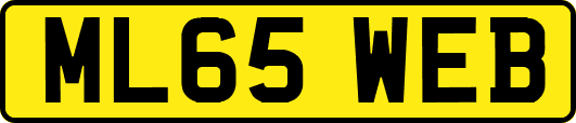 ML65WEB