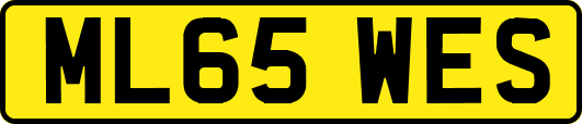 ML65WES