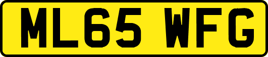 ML65WFG