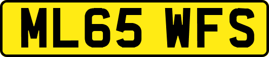 ML65WFS