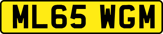 ML65WGM