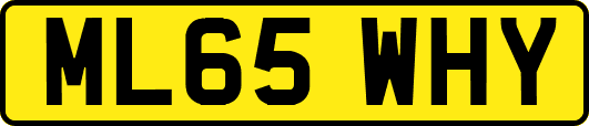 ML65WHY