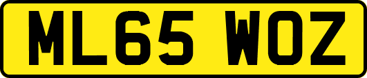 ML65WOZ