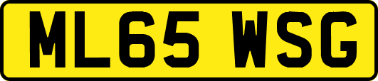 ML65WSG
