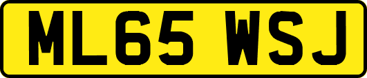 ML65WSJ