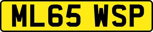 ML65WSP