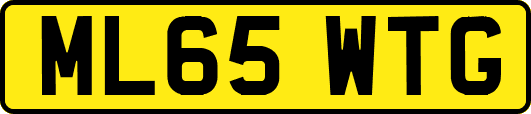 ML65WTG