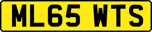 ML65WTS