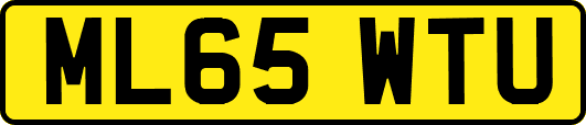 ML65WTU