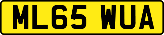 ML65WUA
