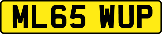 ML65WUP