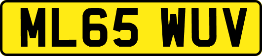 ML65WUV