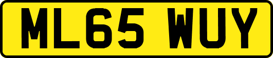 ML65WUY
