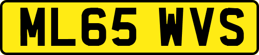 ML65WVS