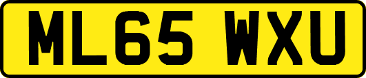 ML65WXU