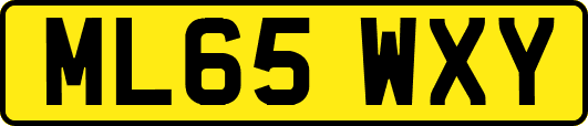 ML65WXY