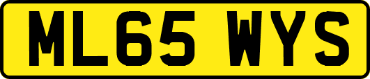 ML65WYS