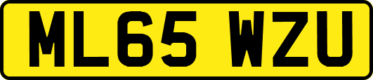 ML65WZU