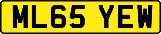 ML65YEW