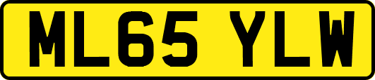 ML65YLW