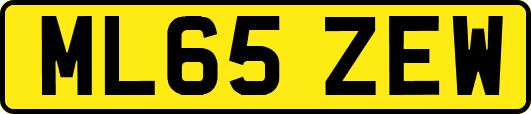ML65ZEW