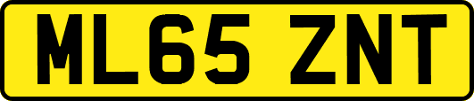 ML65ZNT