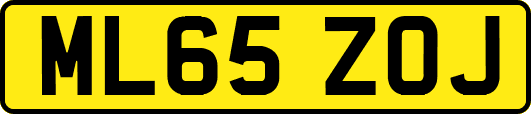 ML65ZOJ